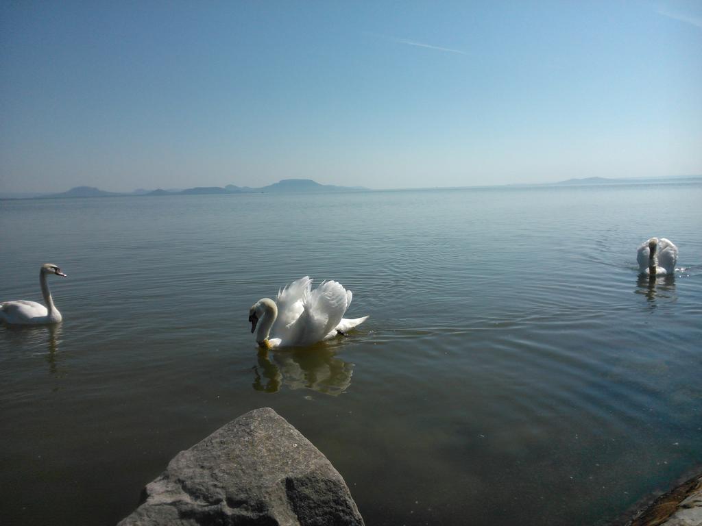 Apartmán Angela Haz Balatonberény Pokoj fotografie
